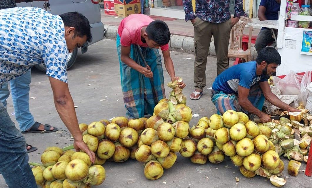 গরমে চরফ্যাশনে বেড়েছে পানি তালের চাহিদা