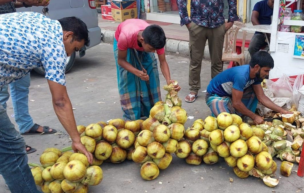 গরমে চরফ্যাশনে বেড়েছে পানি তালের চাহিদা