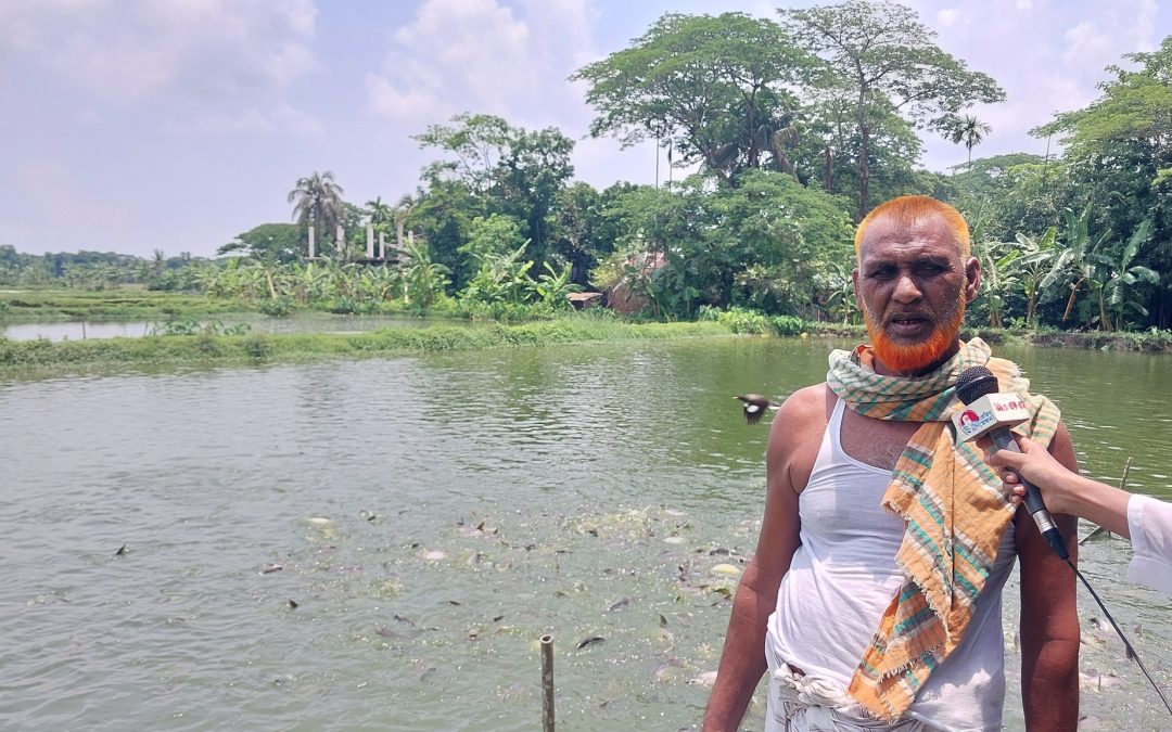 দেশীয় জাতের মাছ চাষে সফল চরফ্যাসনের ফারুক মাতাব্বর