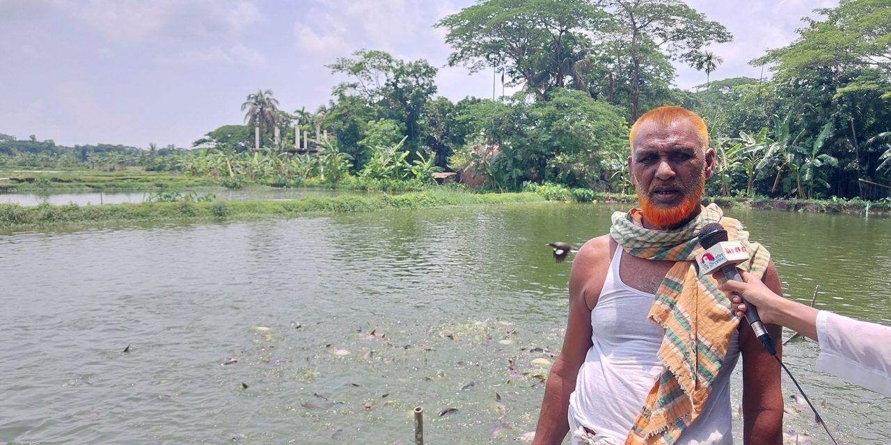 দেশীয় জাতের মাছ চাষে সফল চরফ্যাসনের ফারুক মাতাব্বর