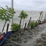 চরফ্যাশনে জোয়ারের পানিতে প্লাবিত নিম্নাঞ্চল