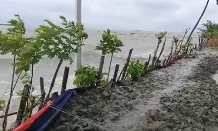 চরফ্যাশনে জোয়ারের পানিতে প্লাবিত নিম্নাঞ্চল