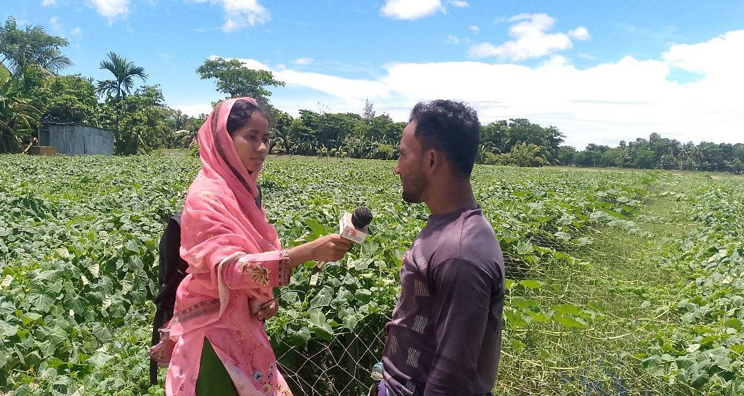 চরফ্যাশনে সর্জন পদ্ধতিতে সবজি চাষে অর্থনৈতিক স্বচ্ছলতার সম্ভাবনায় কৃষক