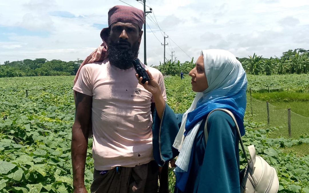 সার্জন পদ্ধতিতে সবজি চাষে আগ্রহ বাড়ছে চরফ্যাশনের কৃষকদের।