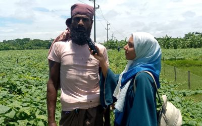 সার্জন পদ্ধতিতে সবজি চাষে আগ্রহ বাড়ছে চরফ্যাশনের কৃষকদের।