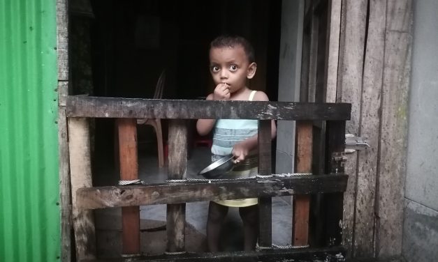 পানিতে ডুবে শিশু মৃত্যু রোধে ঘরের সামনে কাঁঠ দিয়ে বেড়া দিয়ে রেখেছেন মা ফাহিনুর বেগম