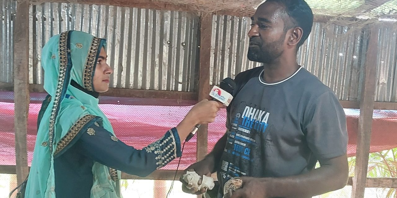 কোয়েল পাখির খামারে স্বাবলম্বী রসুলপুরের আলী- আজগর