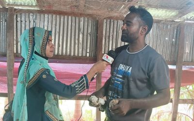 কোয়েল পাখির খামারে স্বাবলম্বী রসুলপুরের আলী- আজগর