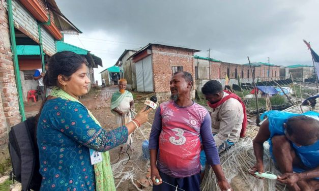 মেঘনায় ঝাঁকে ঝাঁকে ধরা পড়ছে রুপালি ইলিশ