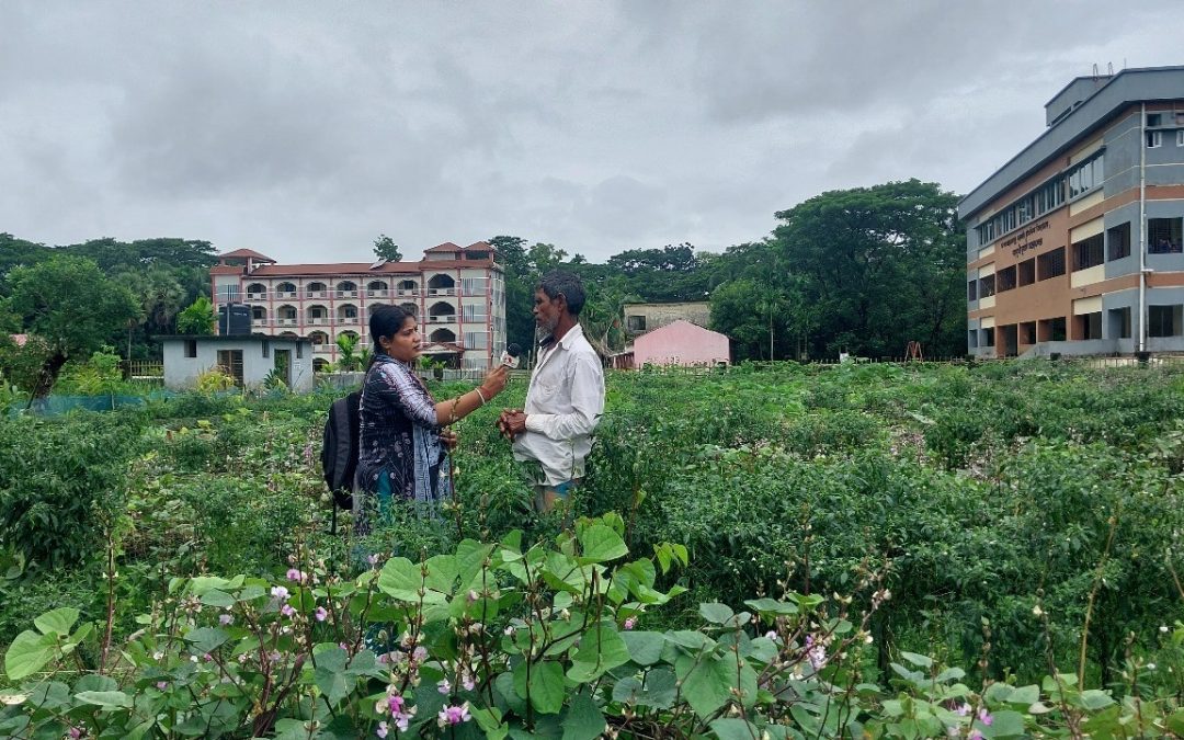 বারোমাসি শিম চাষে সফল আসলামপুরের মোফাজ্জল হোসেন