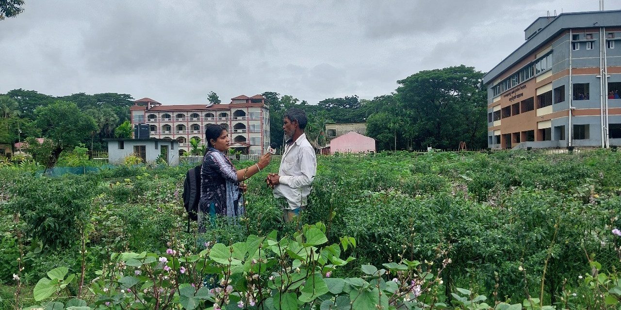 বারোমাসি শিম চাষে সফল আসলামপুরের মোফাজ্জল হোসেন