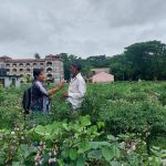 বারোমাসি শিম চাষে সফল আসলামপুরের মোফাজ্জল হোসেন
