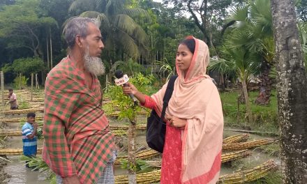 আখ চাষে লাভবান রসুলপুরের দুলাল হাজারী