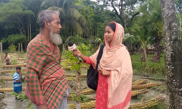 আখ চাষে লাভবান রসুলপুরের দুলাল হাজারী