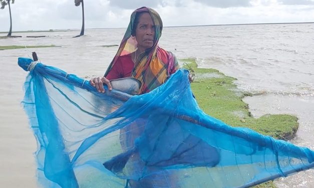 মেঘনার বুকে জীবিকার টানাপোড়েন-অবৈধ জাল দিয়ে চিংড়ি রেনু ধরছেন জেলে পরিবার