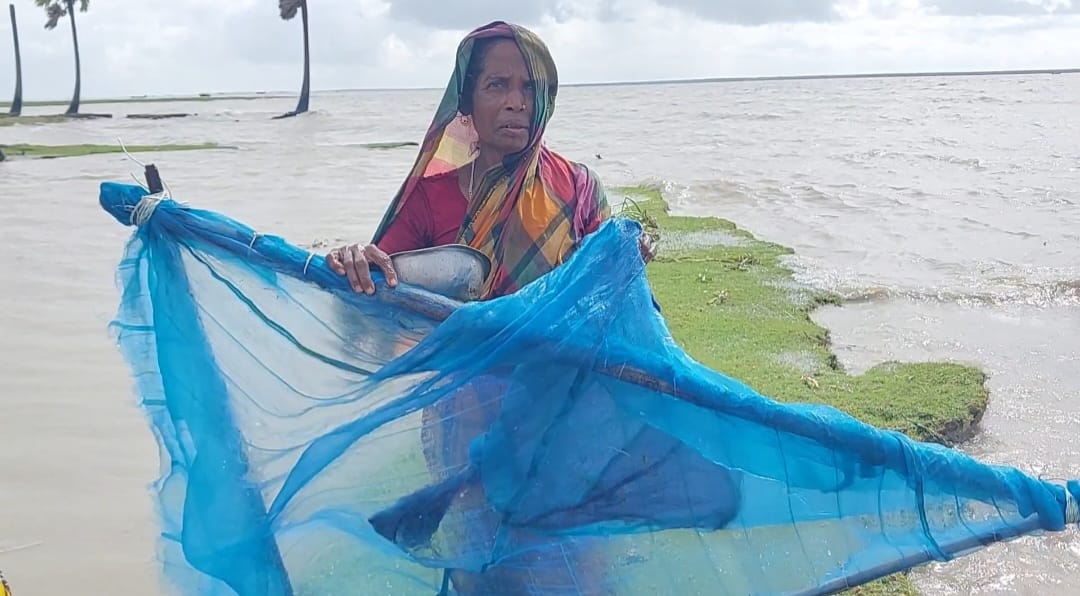 মেঘনার বুকে জীবিকার টানাপোড়েন-অবৈধ জাল দিয়ে চিংড়ি রেনু ধরছেন জেলে পরিবার
