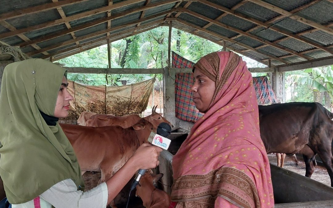 ভবিষ্যতে গরু পালন ও সবজির খামার করে নিজের জন্য স্বপ্নের বাড়ি বানাতে চান মৌসুমী বেগম