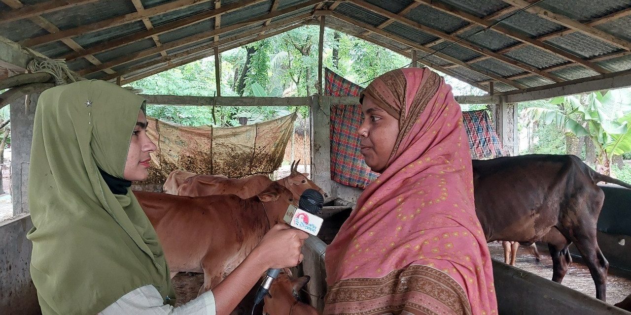 ভবিষ্যতে গরু পালন ও সবজির খামার করে নিজের জন্য স্বপ্নের বাড়ি বানাতে চান মৌসুমী বেগম