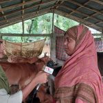 ভবিষ্যতে গরু পালন ও সবজির খামার করে নিজের জন্য স্বপ্নের বাড়ি বানাতে চান মৌসুমী বেগম