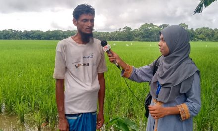 চরফ্যাশন উপজেলায় আমন ধানের লক্ষ মাত্র ৭১ হাজার ৯শত ৮০ হেক্টর