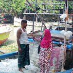 ২২ দিনের নিষেধাজ্ঞা কাটিয়ে, ফের নদীতে চরফ্যাশনের জেলেরা