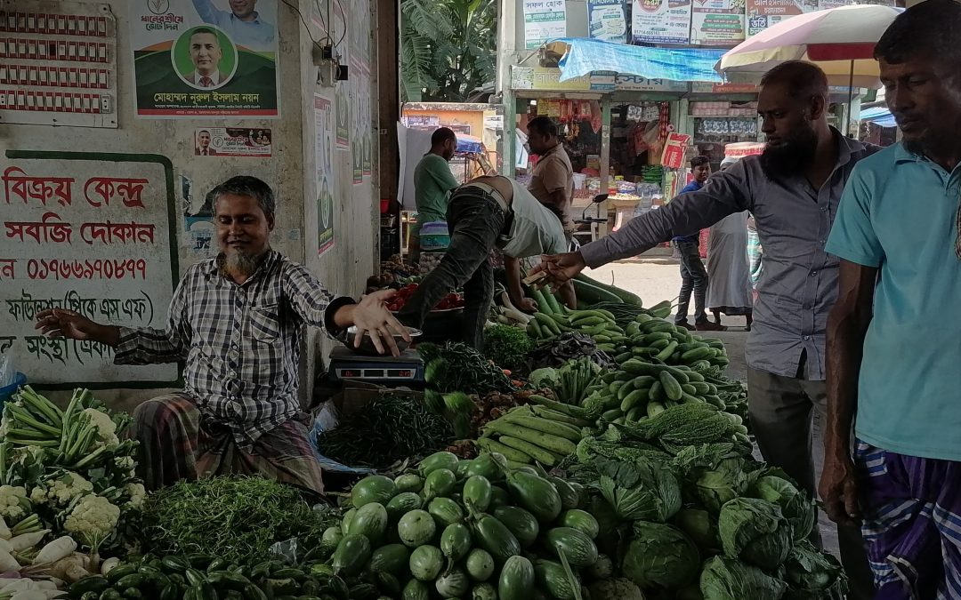 চরফ্যাশনে উঠতে শুরু করছে শীতকালীন সবজি