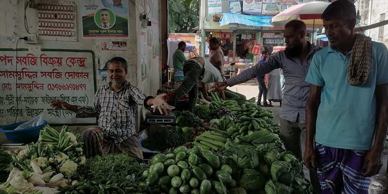 চরফ্যাশনে উঠতে শুরু করছে শীতকালীন সবজি