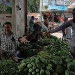 চরফ্যাশনে উঠতে শুরু করছে শীতকালীন সবজি