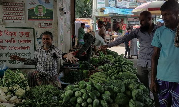 চরফ্যাশনে উঠতে শুরু করছে শীতকালীন সবজি