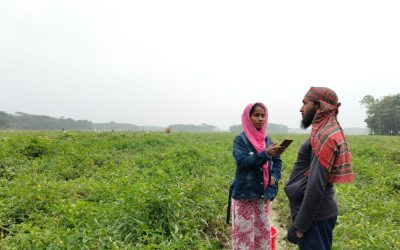 চরফ্যাশনে টমেটো চাষে করে সফল তরুণ চাষী ইয়াসিন