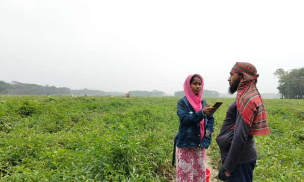 চরফ্যাশনে টমেটো চাষে করে সফল তরুণ চাষী ইয়াসিন