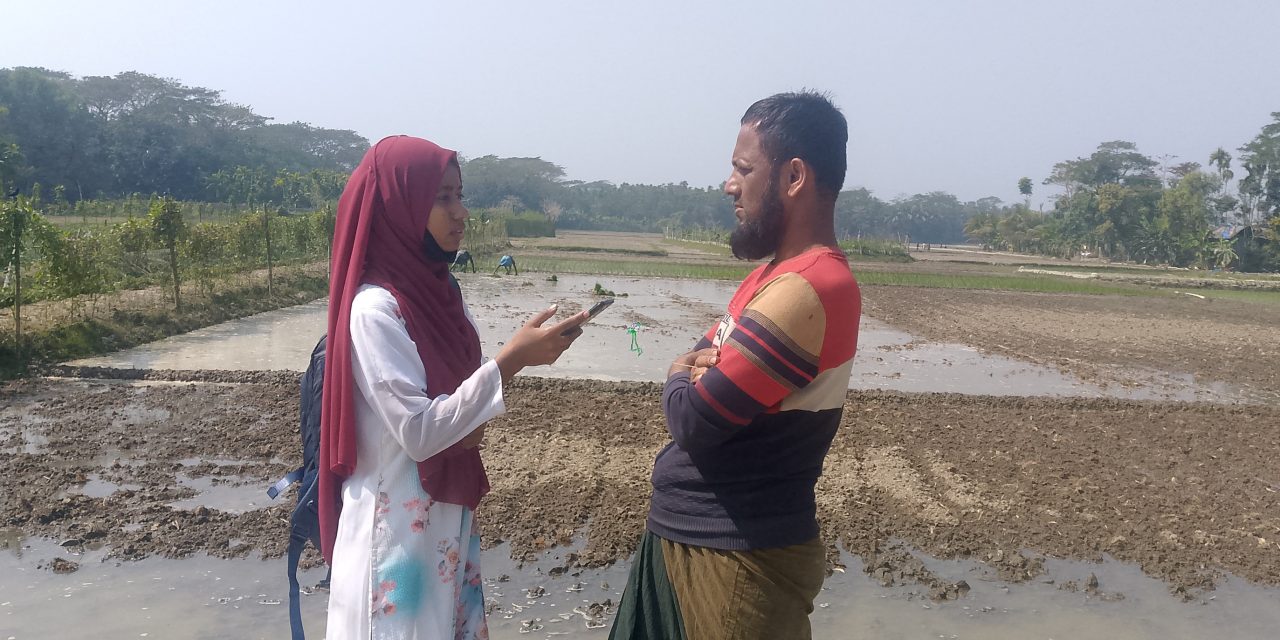 বোরো ধান আবাদে ব্যস্ত চরফ্যাসনের কৃষকরা