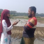 বোরো ধান আবাদে ব্যস্ত চরফ্যাসনের কৃষকরা