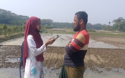 বোরো ধান আবাদে ব্যস্ত চরফ্যাসনের কৃষকরা