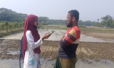 বোরো ধান আবাদে ব্যস্ত চরফ্যাসনের কৃষকরা