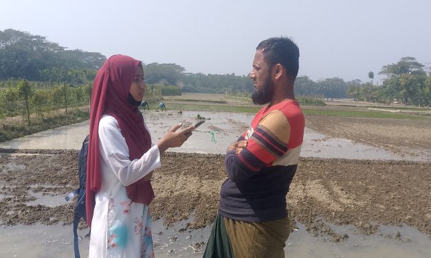 বোরো ধান আবাদে ব্যস্ত চরফ্যাসনের কৃষকরা