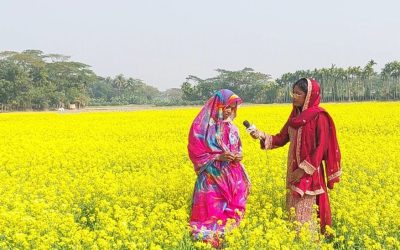 সরিষা ফুলের দোলে দুলছে কৃষকের সপ্ন