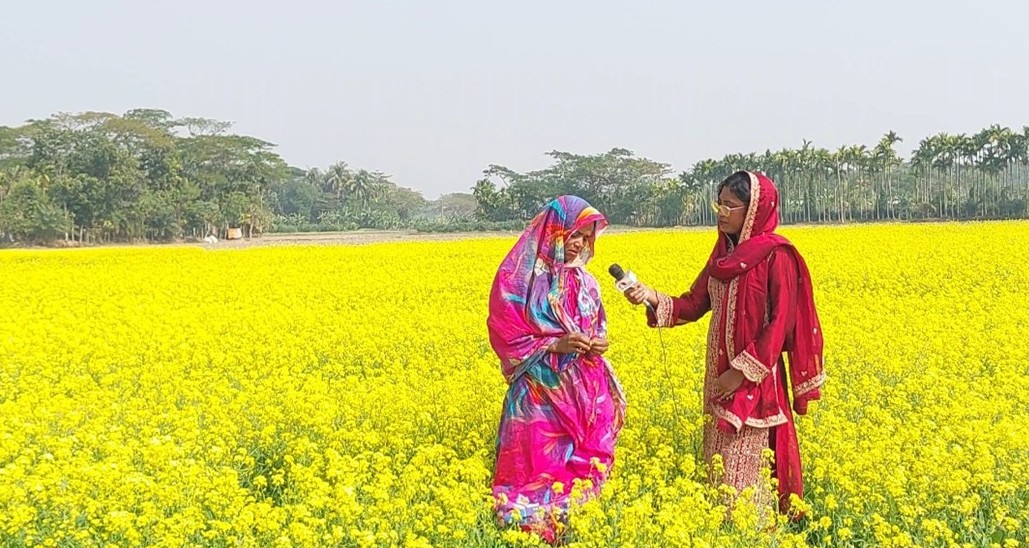 সরিষা ফুলের দোলে দুলছে কৃষকের সপ্ন