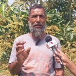 আমের মুকুলে নতুন সম্ভাবনা কৃষকের