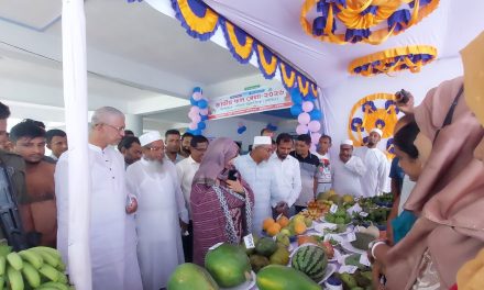 চরফ্যাশনে কৃষি প্রণোদনা ও জাতীয় ফল মেলা ২০২৬