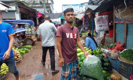 টানা বৃষ্টিতে কৃষকের ফসলহানি, চরফ্যাশনে কাঁচা মরিচ বিক্রি হচ্ছে বাড়তি দামে