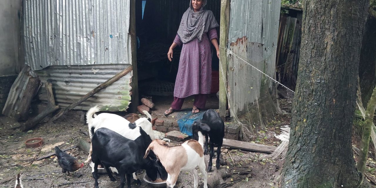 সালমা বেগমের সাফল্য শুধু তার আয়ই বাড়ায়নি, বদলে দিয়েছে তার পরিবারের জীবনযাত্রাও