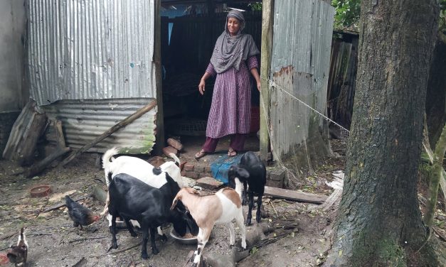 সালমা বেগমের সাফল্য শুধু তার আয়ই বাড়ায়নি, বদলে দিয়েছে তার পরিবারের জীবনযাত্রাও