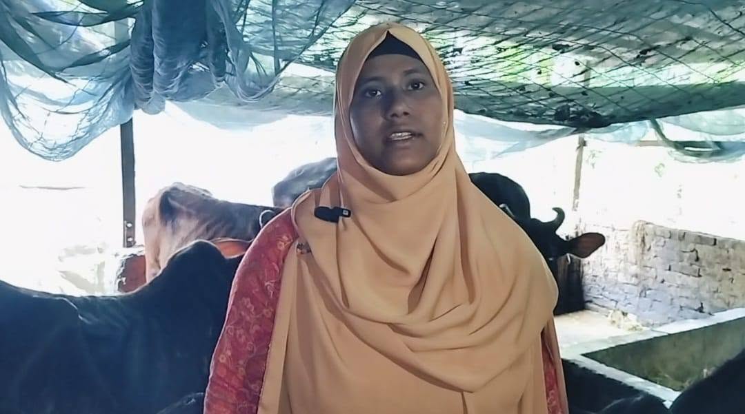 গবাদিপশুর খামারে আমিনাবাদের রুজিনা বেগম এখন অনেকেরই অনুপ্রেরণা