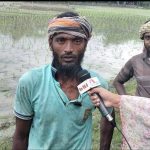 ফসলের ন্যায্যমূল্য নিয়ে আশঙ্কায় কৃষক মোঃ আমজাদ