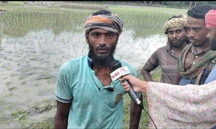 ফসলের ন্যায্যমূল্য নিয়ে আশঙ্কায় কৃষক মোঃ আমজাদ