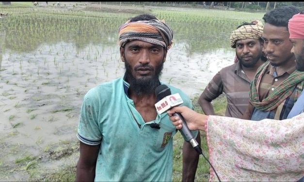 ফসলের ন্যায্যমূল্য নিয়ে আশঙ্কায় কৃষক মোঃ আমজাদ