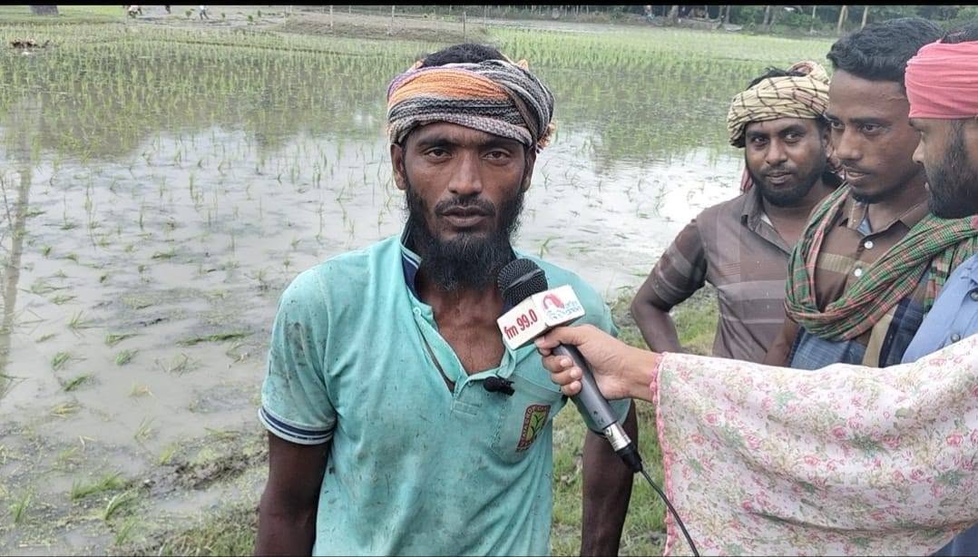 ফসলের ন্যায্যমূল্য নিয়ে আশঙ্কায় কৃষক মোঃ আমজাদ