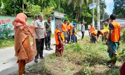 চরফ্যাশনে ডেঙ্গু প্রতিরোধে র‍্যালি ও পরিচ্ছন্নতা অভিযান
